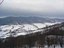 IMG_0676.jpg