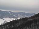 IMG_0684.jpg