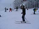 IMG_1371.jpg