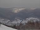 IMG_1386.jpg