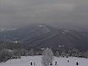 IMG_1392.jpg
