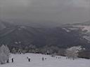 IMG_1393.jpg