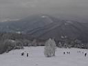 IMG_1394.jpg