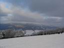 IMG_1413.jpg